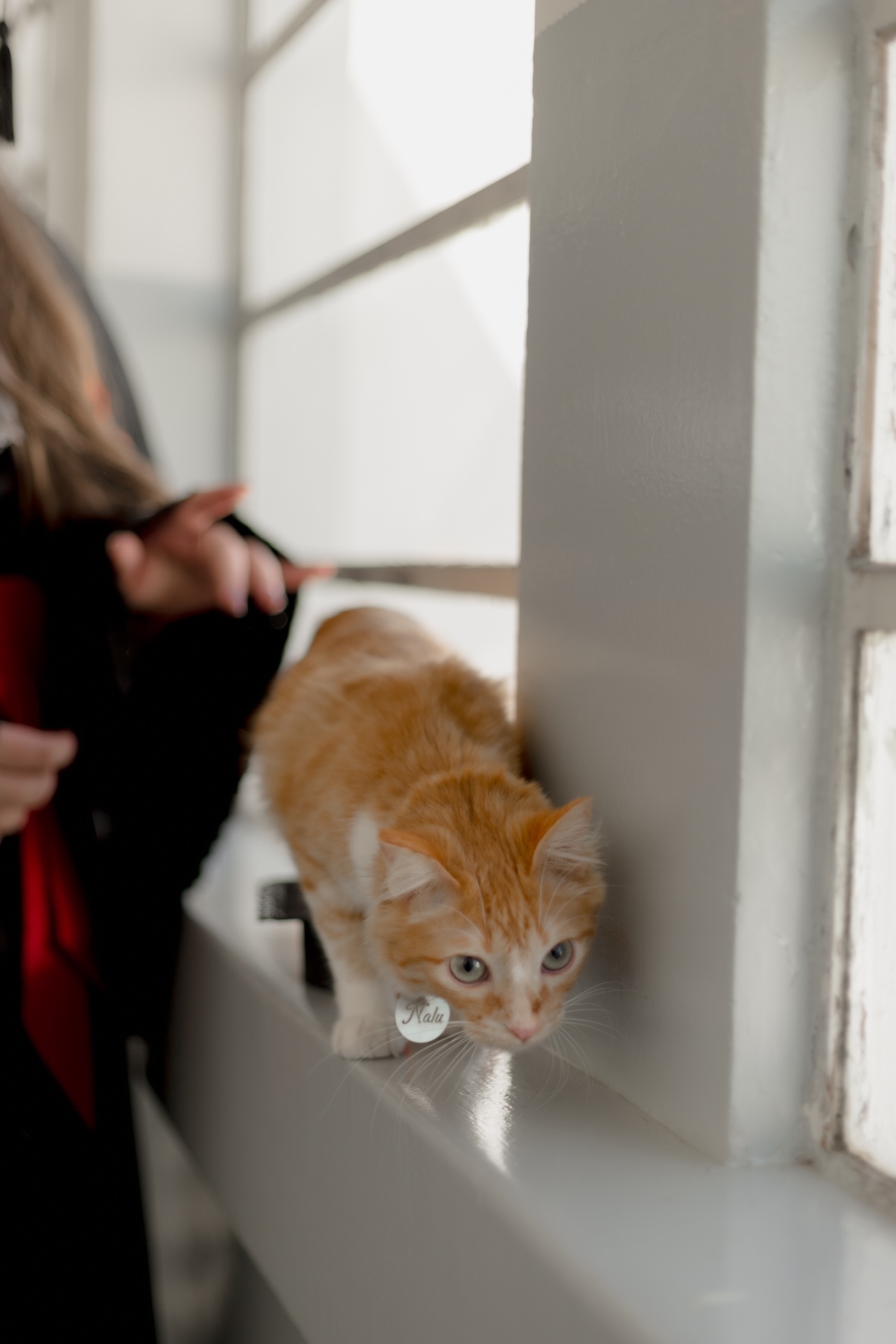 Natalia-ensaio-formatura-direito-pontagrossa-uepg1